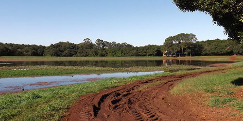 FNC Plantations - Clan Macadam Macadamia Orchards